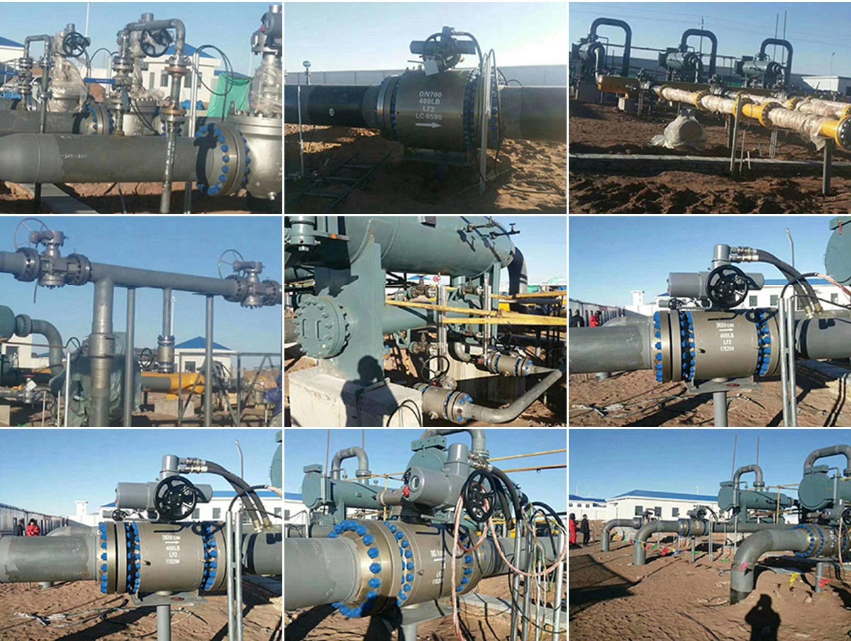 Z6·尊龙「中国区」官方网站